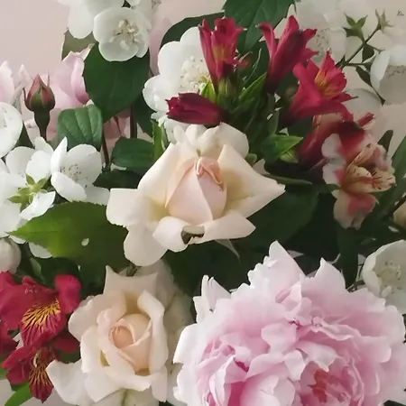 Les Rives Du Rochefollet Konukevi